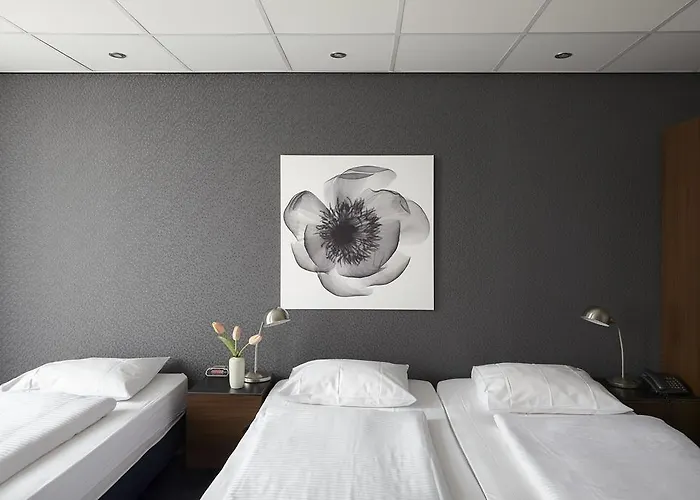 D'amsterdam Leidsesquare מלון 3*