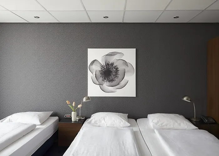 מלון D'amsterdam Leidsesquare אמסטרדם